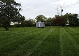 <p>Revitalize your lawn without the use of any harsh chemicals with our organic and synthetic lawn care service. </p>
